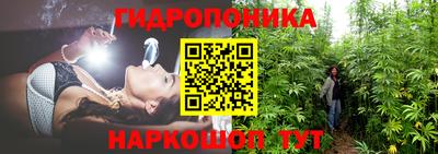 амф Кулебаки