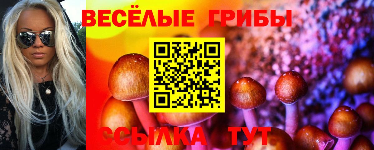 Псилоцибиновые грибы Cubensis Жуковский