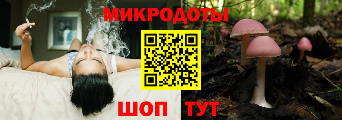 Псилоцибиновые грибы ЛСД  Вход с VPN  купить наркотики цена  Жуковский 